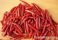 Sell dried red chilli