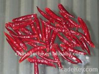 Sell Tianing chilli