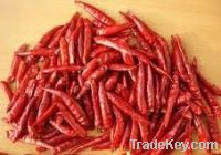 Sell Chaotian Chili