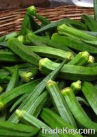 Fresh Okra/Lady finger