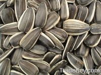 Sunflower Seeds & Oil