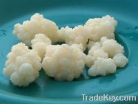 Organic Milk and Water Kefir grains