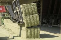 Sell Alfalfa Bales