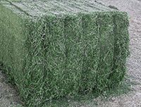 Sell Dehydrated alfalfa