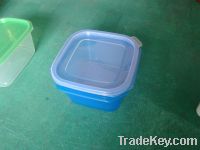 Sell food container --food container mould-package mould-PP PS HPD