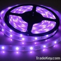 Sell SMD3528 Flexible LED Strip Light