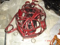 Miniature Harness for Horse