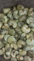 Raw Cashew Nuts 2019 Crop - Cote D'Ivoire origin