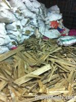 Sell Agarwood Chips