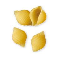 Sell italian conchiglie, fine italian pasta