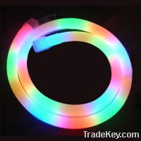 Sell led neon strip with DC12V