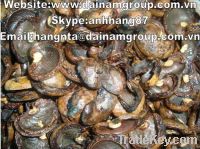 Sell Cashew Nut Shell