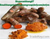 Sell Vietnam Fresh Turmeric