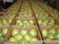 Sell pomelo