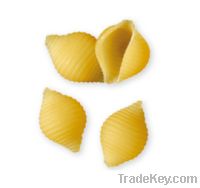 Sell italian conchiglie, fine italian pasta, top quality