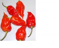 Sell Naga King Chilli