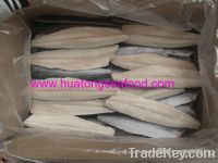Sell frozen spanish mackerel fillets
