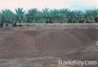 Sell Palm Kernel Shells