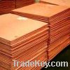 Copper Cathodes