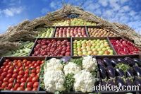 Sell Fresh Fruits and Vegetables