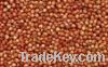 Sell pure red sorghum