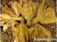 Sell Raw Virginia Tobacco Leaf