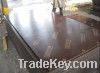 Sell Logo film faced plywood