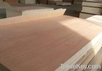 Sell red hard wood plywood