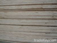 Sell combine core plywood
