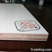Sell frp plywood sandwich board