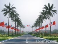 Sell artificial tree, coconut tree, outdoor tree