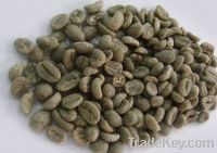 Sell Coffee Luwak Sumatera