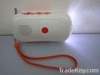 Sell solar flashlight + solar radio + solar charger