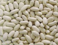 White Beans