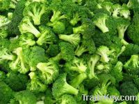 frozen broccoli