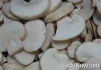 Sell Champignon Mushroom