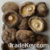 Sell dried mushroom