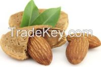 Almond