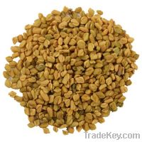 Sell Fenugreek Extract