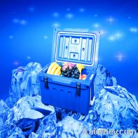 SB1-A20 Blue Plastic Cooler Box