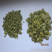 Sell pumpkin seed kernel