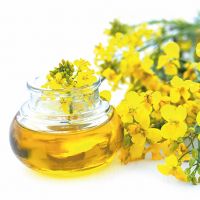 Sell Rapeseed oil