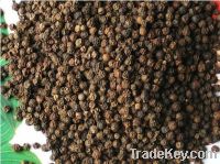 Sell Black pepper extract