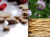 low price supply Astragalus Extract