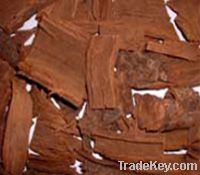 Sell Pygeum Bark Extract