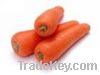 Sell  carrot