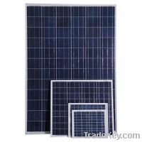 Sell Polycrystalline Solar Panel