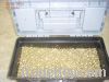 sell gold nuggets