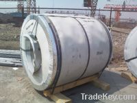 Sell 310S Stainless Steel Sheets/Coils