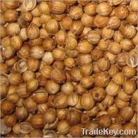 coriander seeds